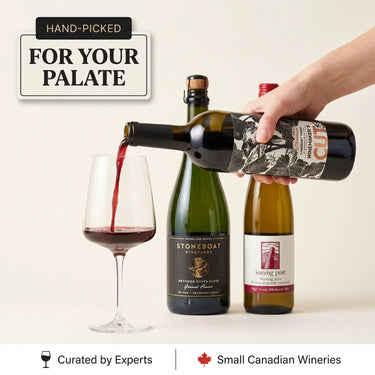 Wine bottles being poured with a hand holding one, on a light background with text about curated small Canadian wineries.