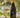 Tenacious Turtle Chardonnay 2025, Mythology Vineyard - 750 ml