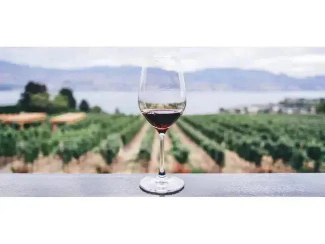 Adding an Ontario Wine to a West Coast Day-My Wine Canada