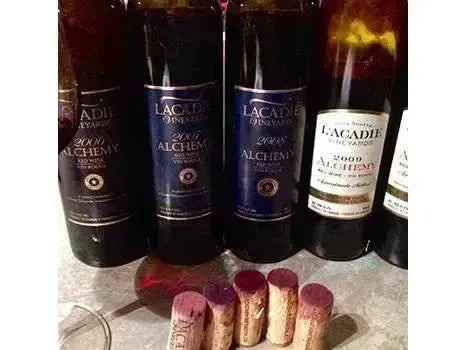 Ageing Nova Scotia Wine-My Wine Canada