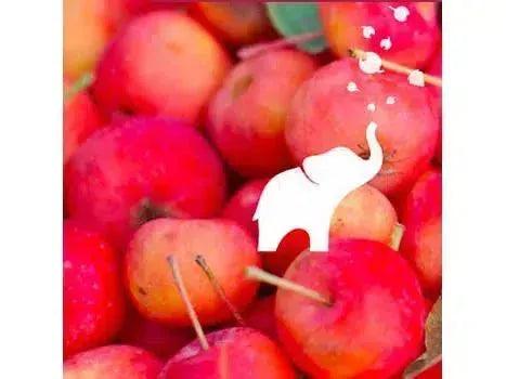 Bubbles and More from Elephant Island Orchard Wines-My Wine Canada