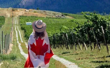 Canadian Family-Owned Wineries You Need to Try-My Wine Canada