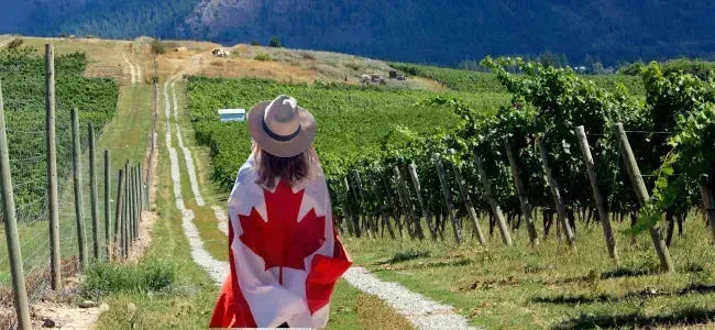 Canadian Family-Owned Wineries You Need to Try-My Wine Canada