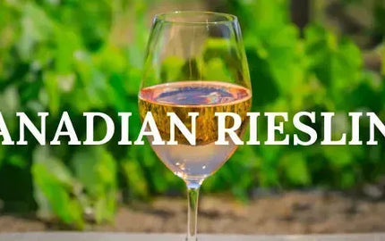Canadian Riesling: The Grape That Rules Them All-My Wine Canada