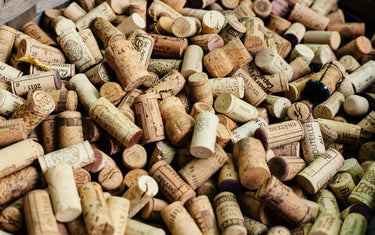 Canadian Winery Spotlight: Coyote's Run-My Wine Canada