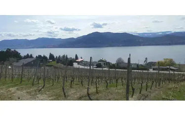 Canadian Winery Spotlight: Elephant Island Orchard Wines-My Wine Canada