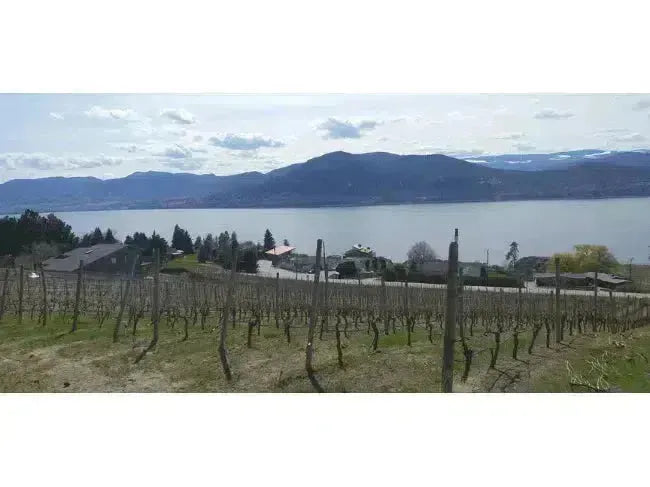 Canadian Winery Spotlight: Elephant Island Orchard Wines-My Wine Canada