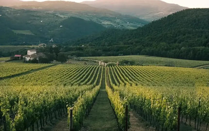Canadian Winery Spotlight: Harper's Trail-My Wine Canada