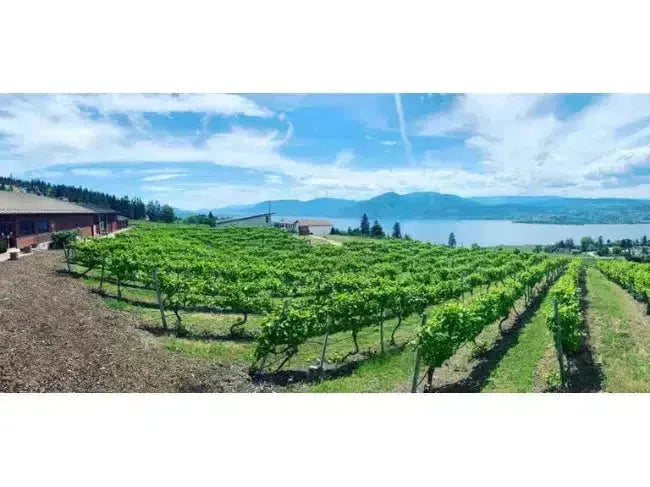 Canadian Winery Spotlight: Lang Vineyards-My Wine Canada