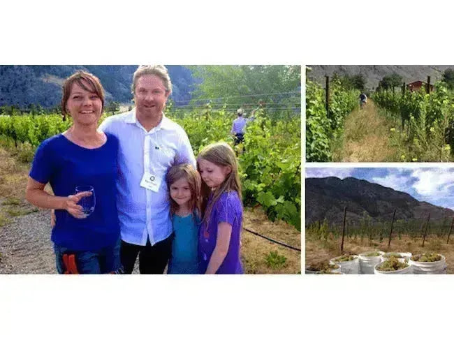 Canadian Winery Spotlight: Little Farm Winery-My Wine Canada