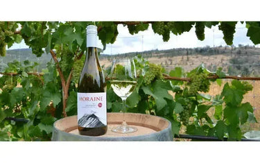 Canadian Winery Spotlight: Moraine Estate Winery-My Wine Canada