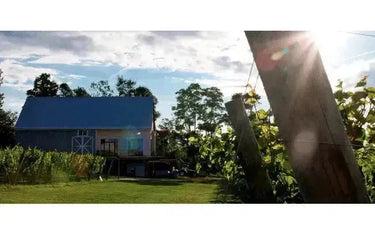 Canadian Winery Spotlight: Planters Ridge-My Wine Canada