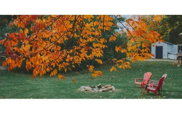 Canadian Winery Spotlight: Prince Edward County-My Wine Canada