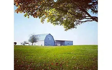 Canadian Winery Spotlight: Rosehall Run-My Wine Canada