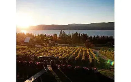 Canadian Winery Spotlight: Summerhill’s Organic Wines-My Wine Canada