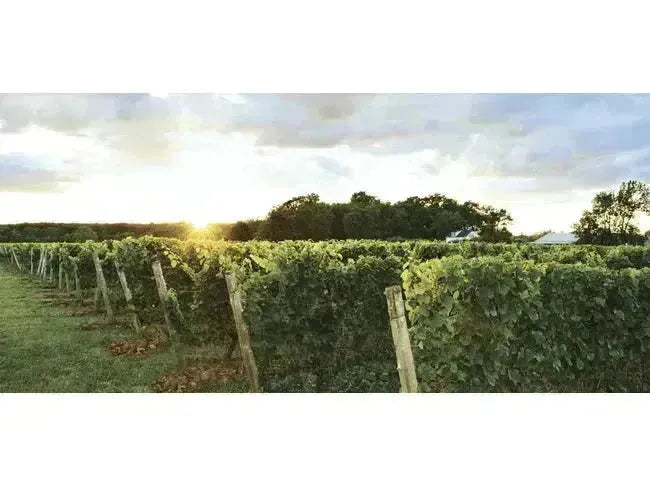 Discover GreenLane Estate Winery: Bold Niagara Wines-My Wine Canada