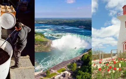 Experiencing Canadian Wine Culture-My Wine Canada