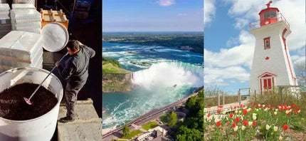 Experiencing Canadian Wine Culture-My Wine Canada