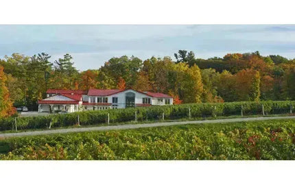 Kacaba Vineyards: Niagara’s Handcrafted Wine Mastery-My Wine Canada