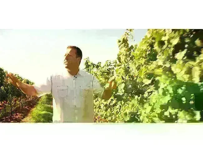 My Wine Canada Wine Club Feature: Flat Rock Cellars-My Wine Canada