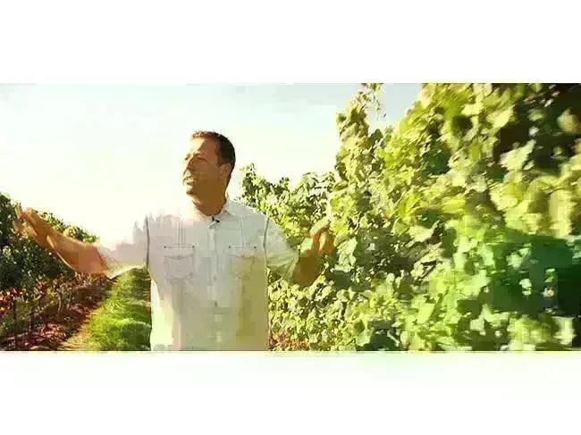 My Wine Canada Wine Club Feature: Flat Rock Cellars-My Wine Canada