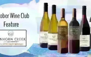 My Wine Canada Wine Club Feature: Tinhorn Creek Vineyards-My Wine Canada