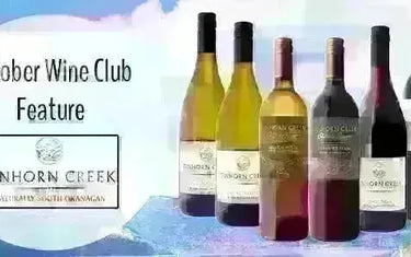 My Wine Canada Wine Club Feature: Tinhorn Creek Vineyards-My Wine Canada
