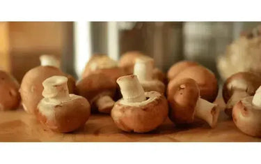 Pair it Up! It’s Mushroom Time-My Wine Canada