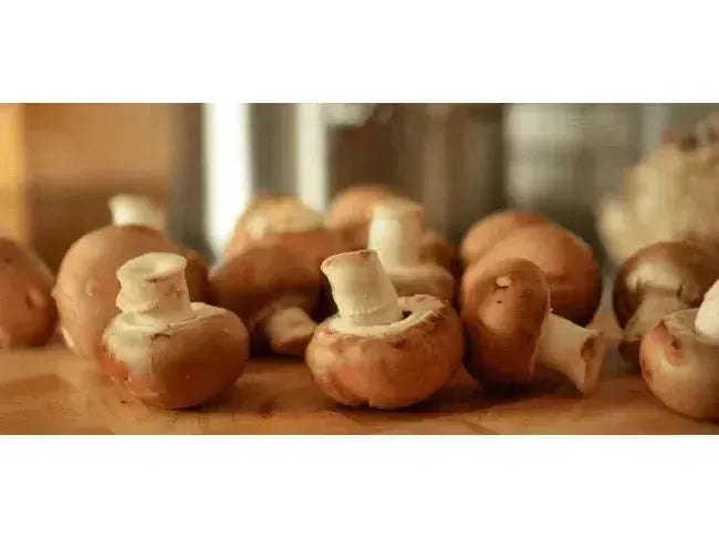 Pair it Up! It’s Mushroom Time-My Wine Canada