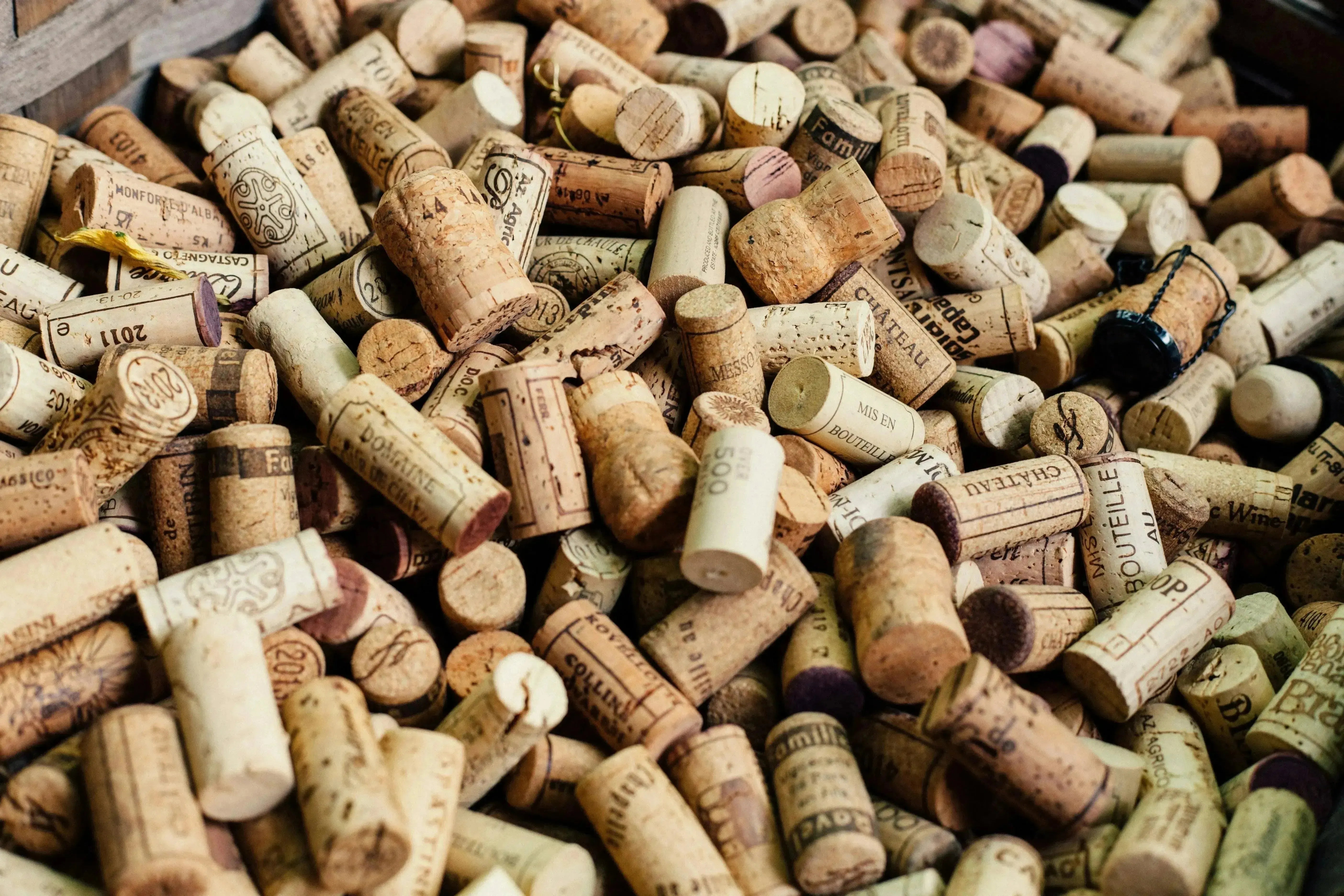Pair It Up! Modern Vietnamese-My Wine Canada