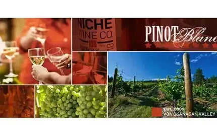 Pair It Up! Niche Wine & Picnic Fare-My Wine Canada