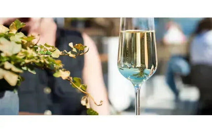 Pair It Up! Viognier and…Nothing?-My Wine Canada