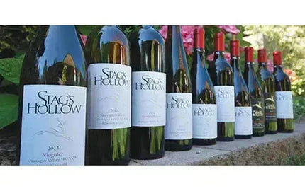 Stag’s Hollow Winery: A Pioneer in B.C. Winemaking with Bold Reds & Unique Varietals-My Wine Canada