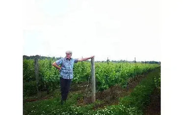 The Far-Reaching Focus of Thomas Bachelder-My Wine Canada