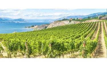The Okanagan, North to South-My Wine Canada