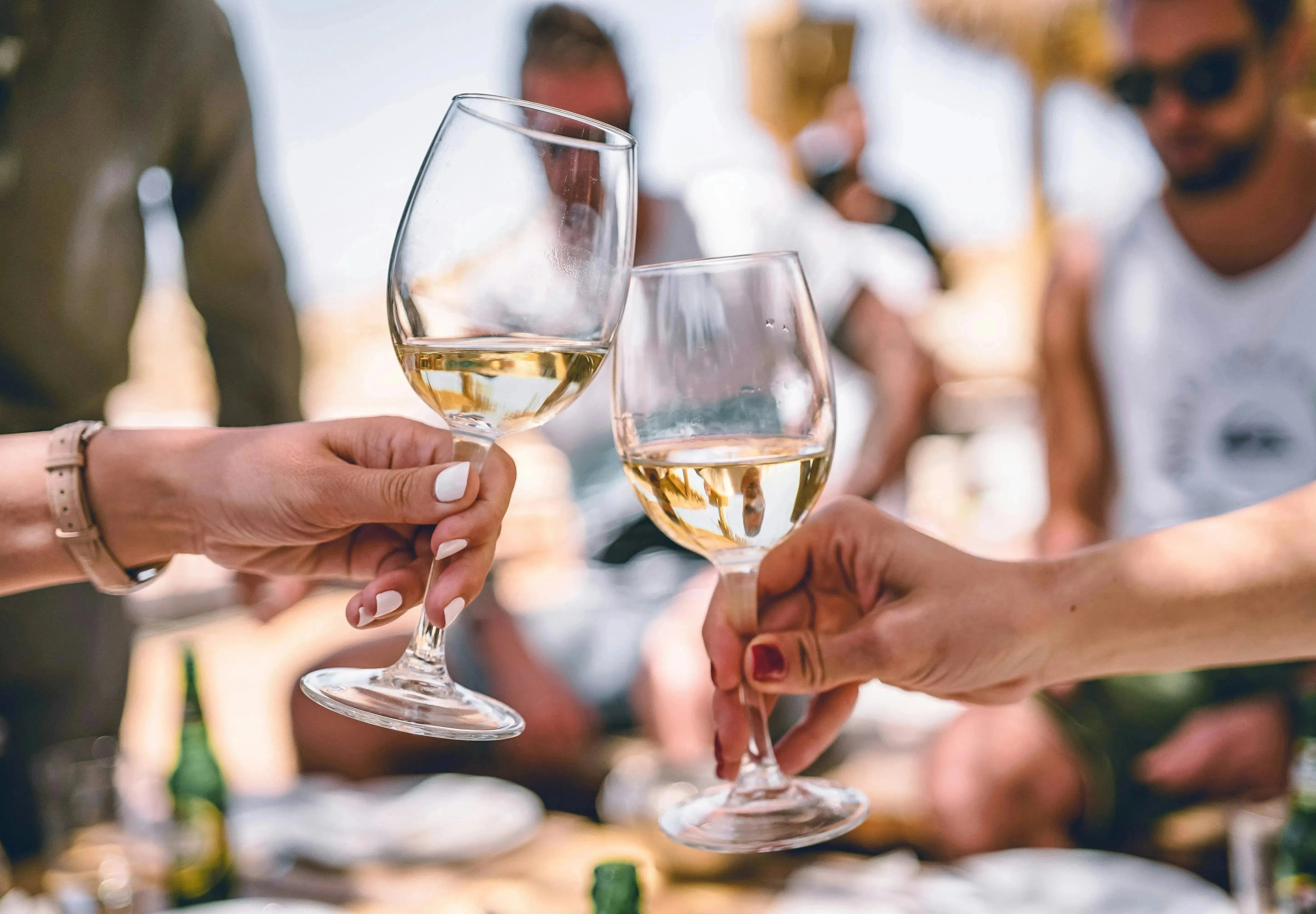 Top Wine Picks! Whites for the Season-My Wine Canada