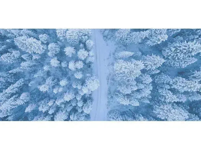 Top Wine Picks! Wines to Chase the Winter Blues Away-My Wine Canada