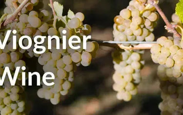 Viognier Wine in Canada-My Wine Canada