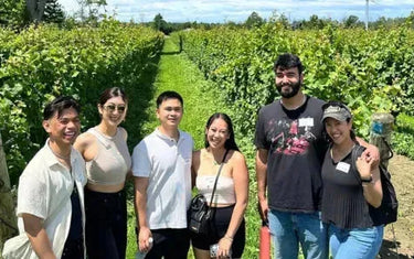 Why Canadians Need to Support the Canadian Wine Industry-My Wine Canada