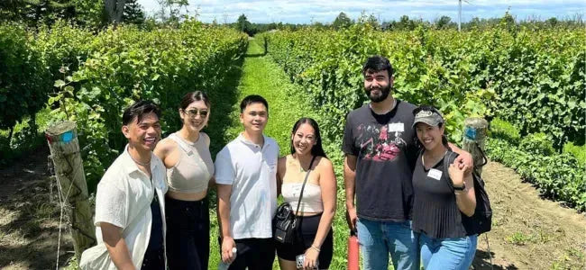 Why Canadians Need to Support the Canadian Wine Industry-My Wine Canada