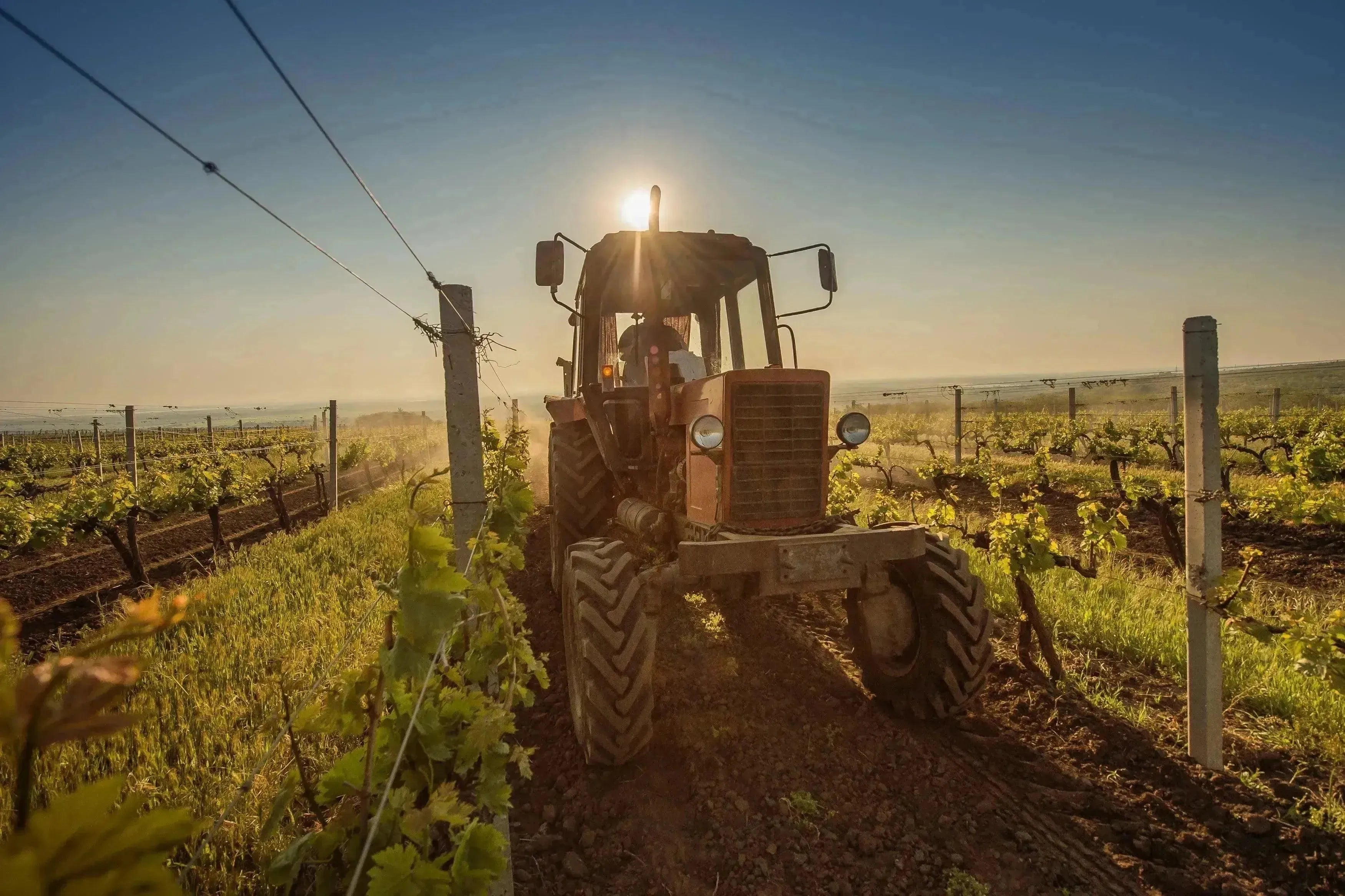 Why Now Is the Time to Support Canadian Wineries-My Wine Canada
