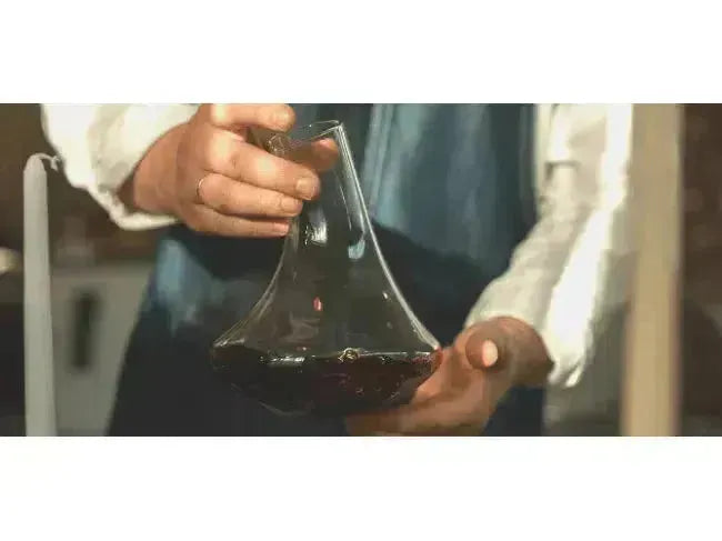 Wine 101: Decanting Young Reds-My Wine Canada