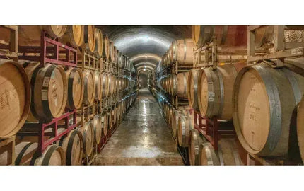 Wine 101: Roll Out The Barrel-My Wine Canada