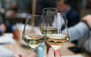 Wine 101: Serving Temps for Summer Whites-My Wine Canada