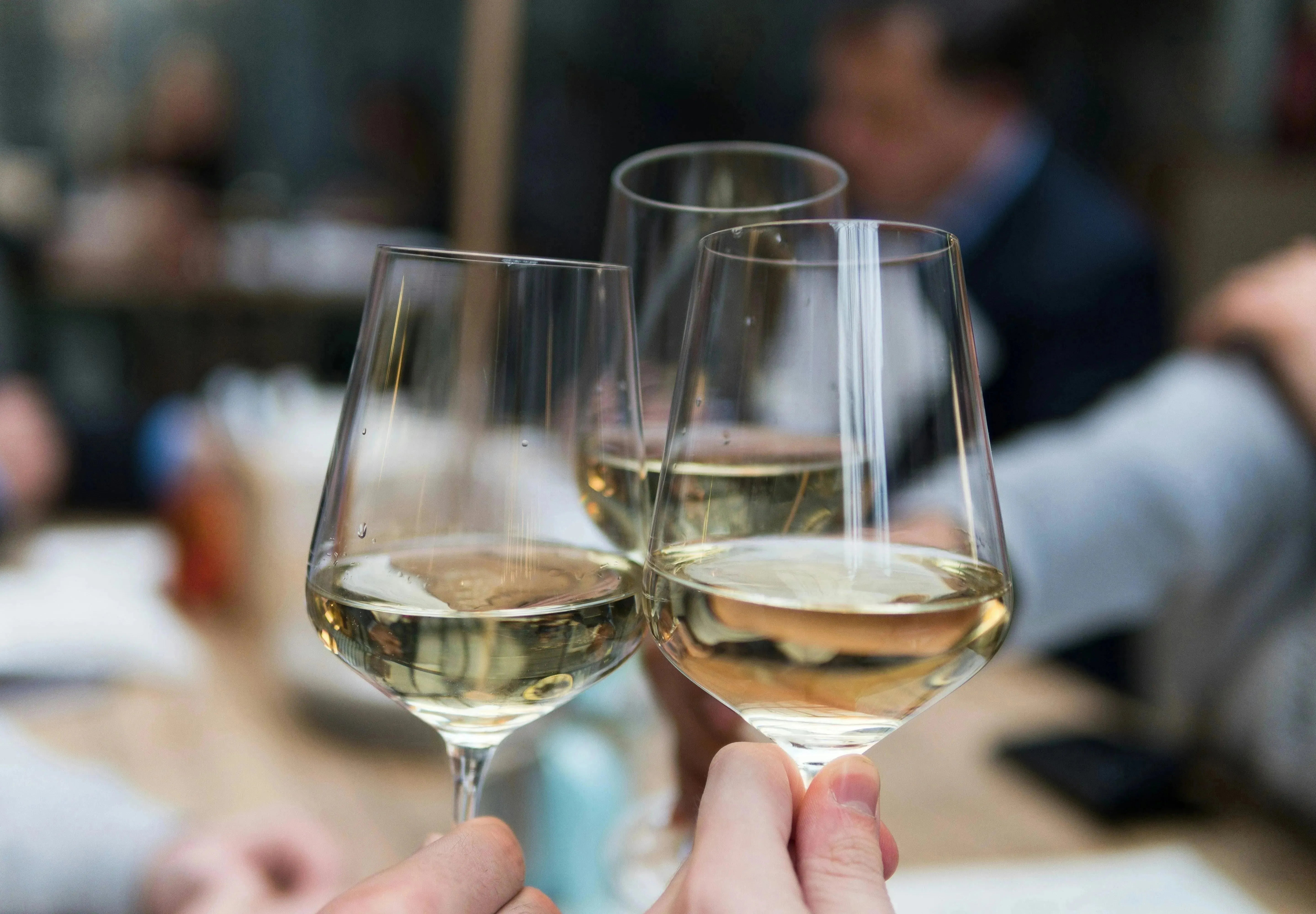 Wine 101: Serving Temps for Summer Whites-My Wine Canada