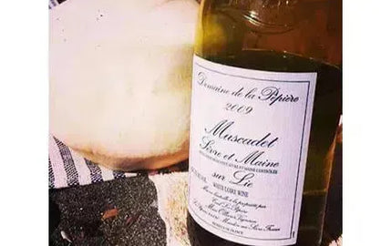 Wine 101: Sur Lie Waiter Recommendations-My Wine Canada