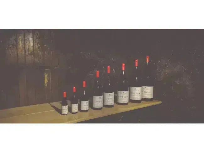 Wine 101: What Is Bottle Shock?-My Wine Canada