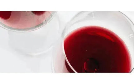 Wine 101: What To Do With 'Forgotten' Wine-My Wine Canada