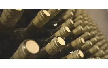 Wine 101: Wine Hacks-My Wine Canada