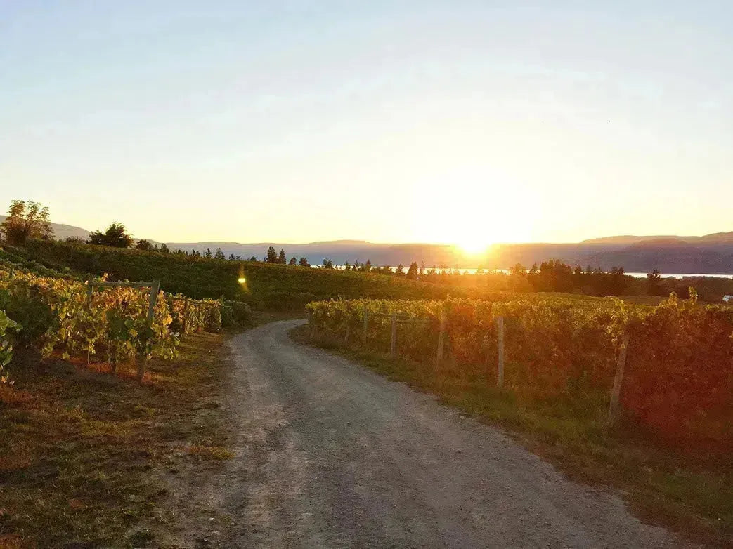 Wine Club Feature: Sperling Vineyards-My Wine Canada